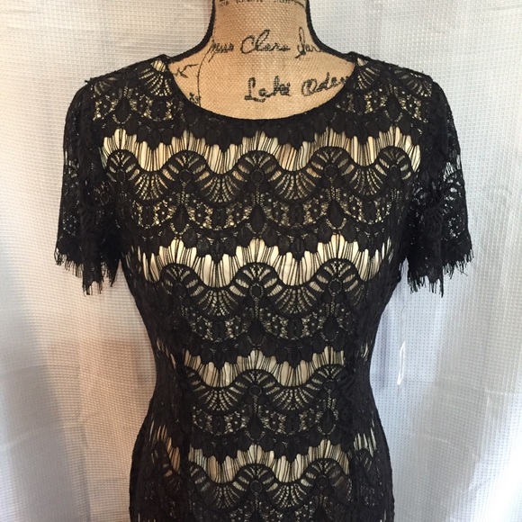 Preston & York Dresses Nwt Preston York Special Occasion Dress